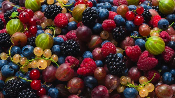 Uva Spina Mirtilli Gelso Lamponi Ribes Bianco Rosso Isolati Fondo — Foto Stock