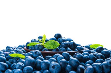 Taze yaban mersini arkaplanı. Doku yaban mersini yakından geliyor..