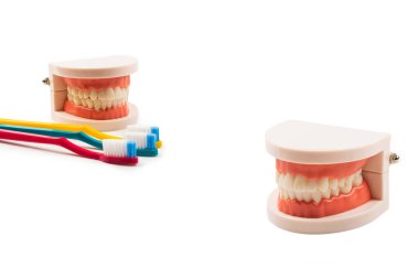 Çene düzeni ve cep aynası beyaza izole edilmiş. Boşluğu kopyala.