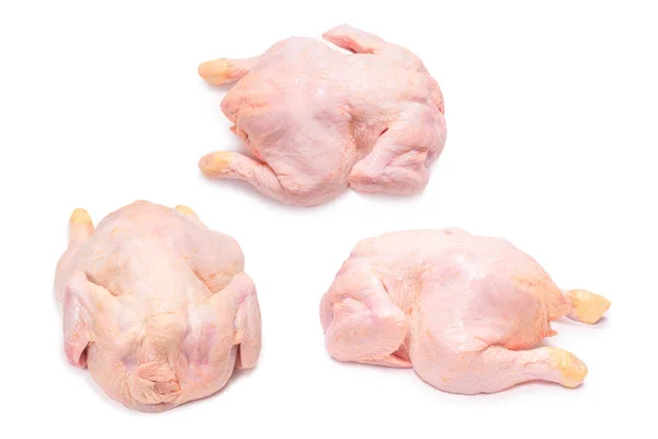 Ayam Mentah Diisolasi Pada Latar Belakang Putih — Stok Foto