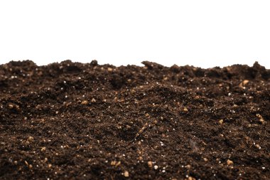 Beyaz arka planda izole edilmiş bitkiler için kara toprak. 