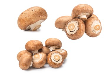 Beyaz arka planda izole edilmiş lezzetli mantar..