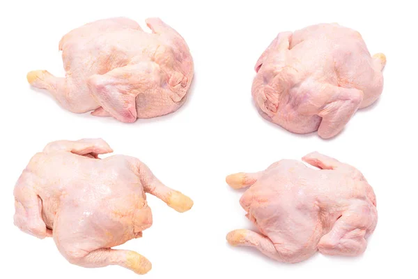 Ayam Mentah Diisolasi Pada Latar Belakang Putih — Stok Foto