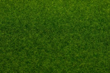 Yeşil çimen arka planı. Yeşil çimen, üst manzara. 