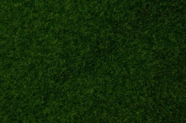 Yeşil çimen arka planı. Yeşil çimen, üst manzara. 