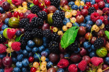 Bektaşi üzümü, yabanmersini, dut, ahududu, beyaz arka planda izole edilmiş beyaz ve kırmızı üzümler. 