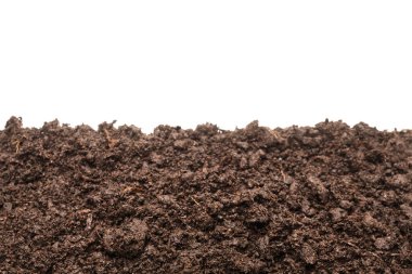 Beyaz arka planda izole edilmiş bitkiler için kara toprak. 