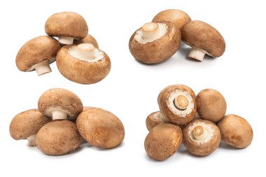 Beyaz arka planda izole edilmiş lezzetli mantar..