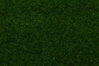 Yeşil çimen arka planı. Yeşil çimen, üst manzara. 