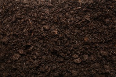 Bitkiler için kara toprak. Üst görünüm. 