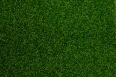 Yeşil çimen arka planı. Yeşil çimen, üst manzara. 