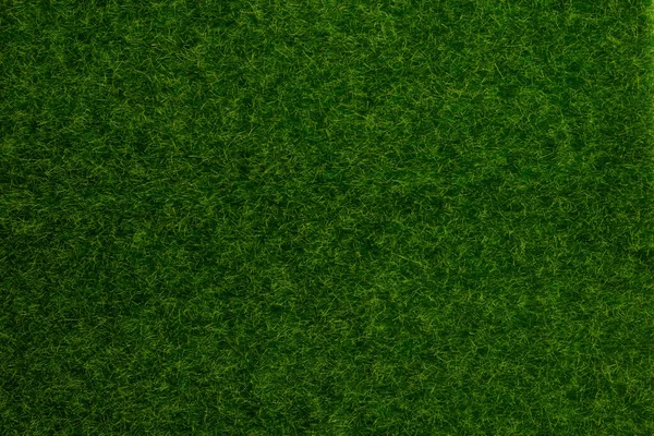 Yeşil çimen arka planı. Yeşil çimen, üst manzara. 