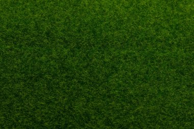 Yeşil çimen arka planı. Yeşil çimen, üst manzara. 