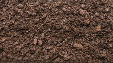 Bitkiler için kara toprak. Üst görünüm. 