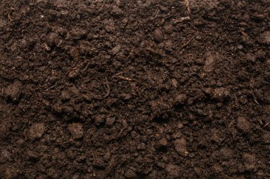 Bitkiler için kara toprak. Üst görünüm. 