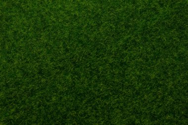 Yeşil çimen arka planı. Yeşil çimen, üst manzara. 