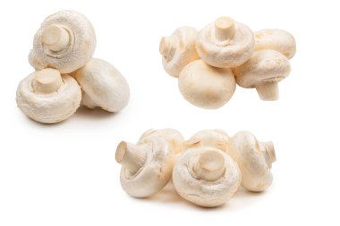 Şampiyon mantarı beyaz arka planda izole edilmiş. Üst görünüm. 