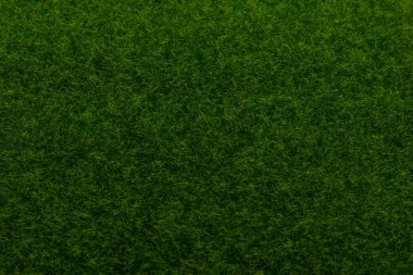 Yeşil çimen arka planı. Yeşil çimen, üst manzara. 