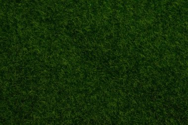 Yeşil çimen arka planı. Yeşil çimen, üst manzara. 