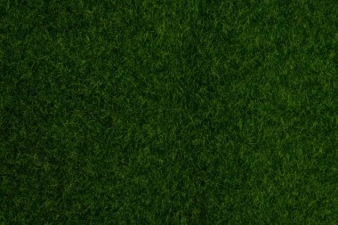 Yeşil çimen arka planı. Yeşil çimen, üst manzara. 