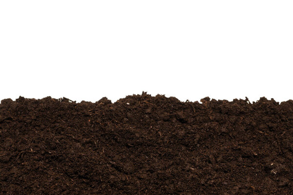 Черная земля для растений изолированы на белом фоне. 