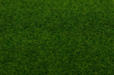 Yeşil çimen arka planı. Yeşil çimen, üst manzara. 