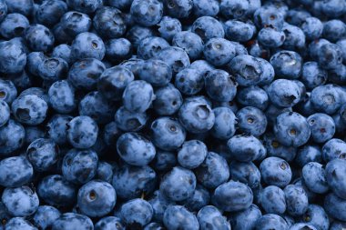 Taze yaban mersini arkaplanı. Doku yaban mersini yakından geliyor..