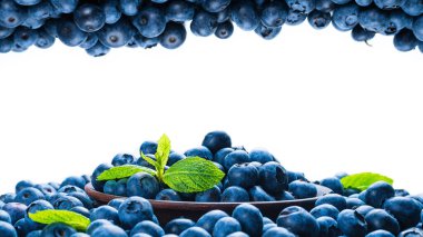 Taze yaban mersini arkaplanı. Doku yaban mersini yakından geliyor..