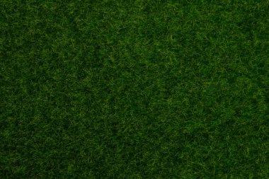 Yeşil çimen arka planı. Yeşil çimen, üst manzara. 