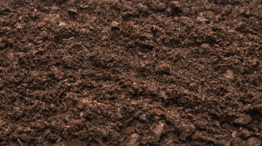 Bitkiler için kara toprak. Üst görünüm. 