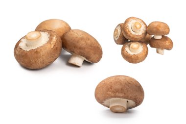 Beyaz arka planda izole edilmiş lezzetli mantar..