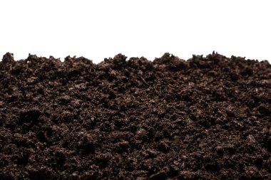 Beyaz arka planda izole edilmiş bitkiler için kara toprak. 