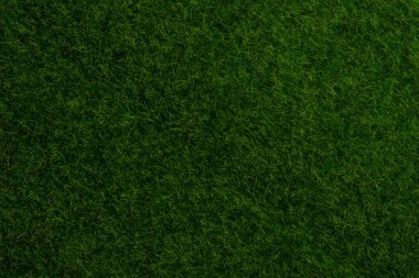 Yeşil çimen arka planı. Yeşil çimen, üst manzara. 