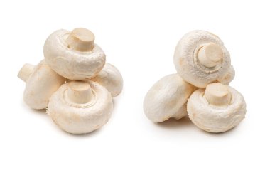 Şampiyon mantarı beyaz arka planda izole edilmiş. Üst görünüm. 