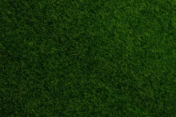 Yeşil çimen arka planı. Yeşil çimen, üst manzara. 