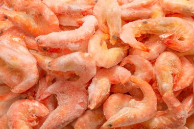 Buzlu taze karides. Üst görünüm.  