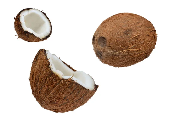 Kokosnöt Isolerad Vit Bakgrund — Stockfoto