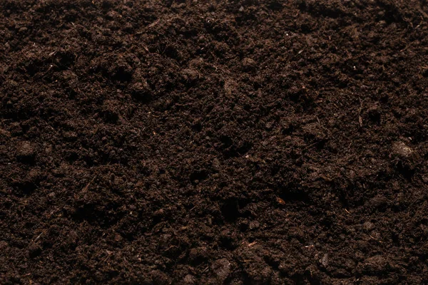 Black Land Plant Background Top View — Stock Photo, Image