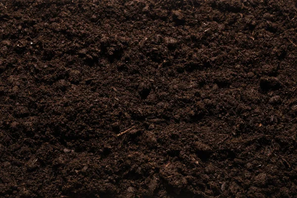 Black Land Plant Background Top View — Stock Photo, Image