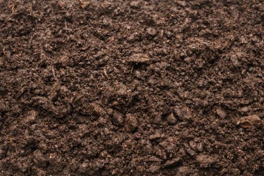 Bitkiler için kara toprak. Üst görünüm. 