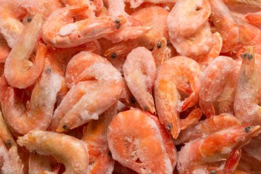 Buzlu taze karides. Üst görünüm.  