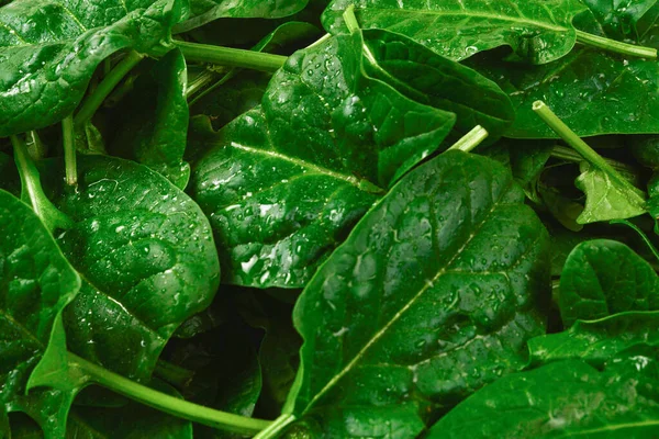 Fresh Leaves Arugula Spinach Background — Stock Photo, Image