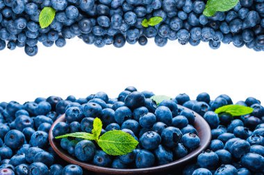 Beyaz arka planda taze yaban mersini ve nane. Boşluğu kopyala.