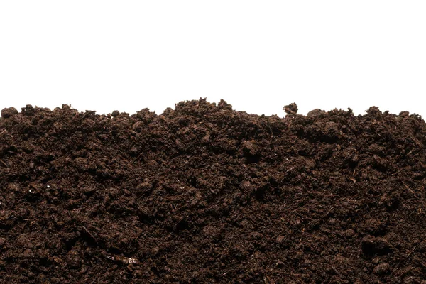 Beyaz arka planda izole edilmiş bitkiler için kara toprak. 