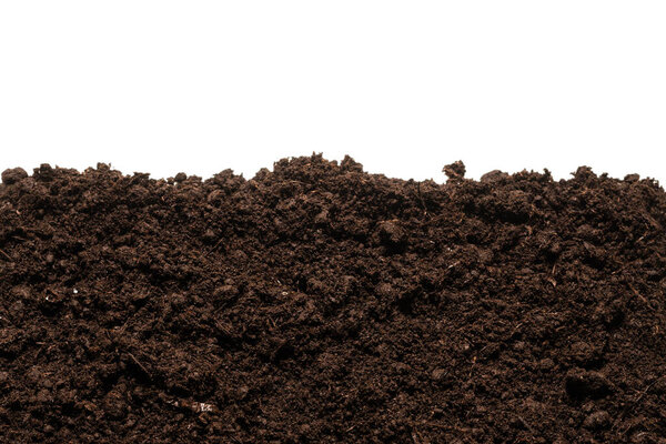 Черная земля для растений изолированы на белом фоне. 