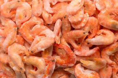 Buzlu taze karides. Üst görünüm.  