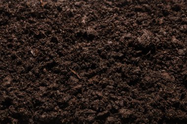 Bitkiler için kara toprak. Üst görünüm. 