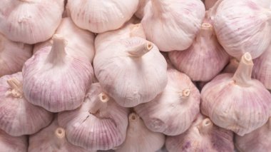 Beyaz arka planda izole edilmiş bir grup sarımsak. 