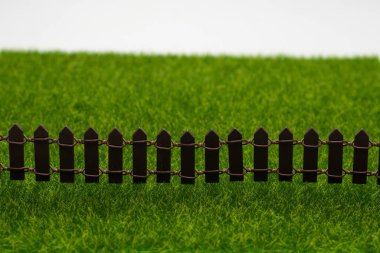 Beyaz arkaplanda yeşil çimenler ve çitler izole.