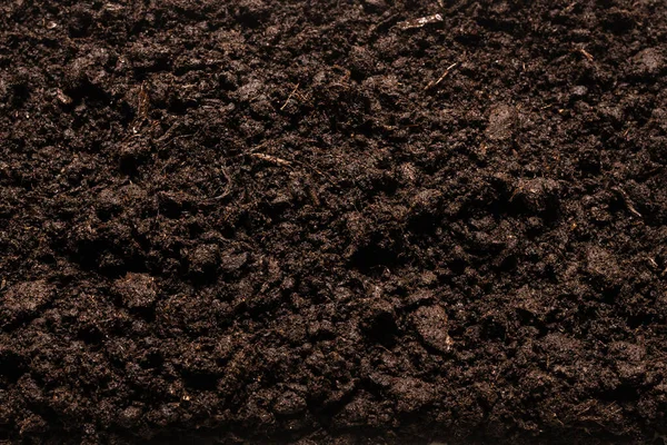 Fekete Föld Növényi Háttérnek Felülnézet — Stock Fotó